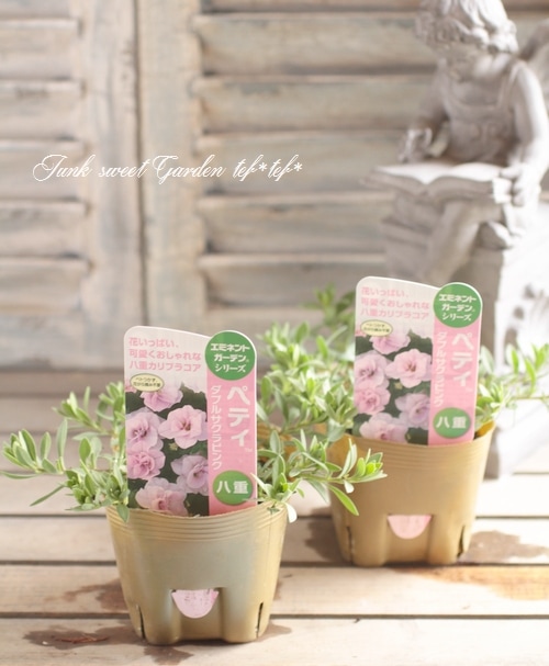 咲く トリックスター / Ninja ZX-6R(24-25) 政府認証スリップオンマフラー