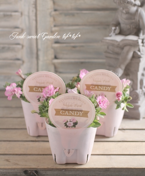 花 Adidas Originals ZX Flux TORSION Hawaiian Flowers Shoes Men's Size