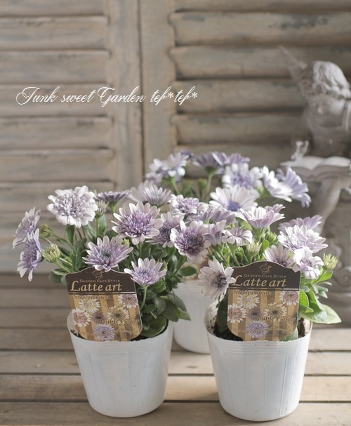 オステオトーム Nocs Provisions/ノックス プロヴィジョンズ Zoom Tube Monocular 8x32