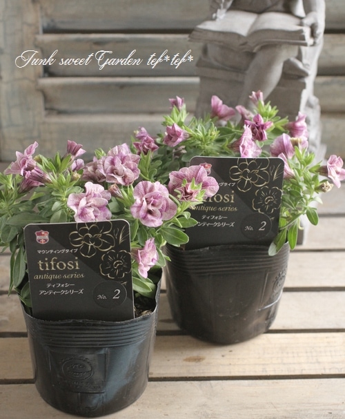 フリッカかっぱ　さいころシリーズ SOUTH-PAW」（かっこわらい雑貨店コラボVer.） | STUDIO24 store