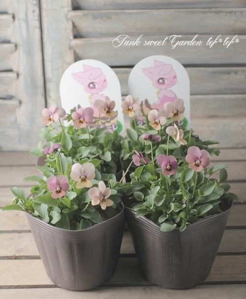 ���ߤ�ȥӥ��顡�إ��󥴥��⡼���