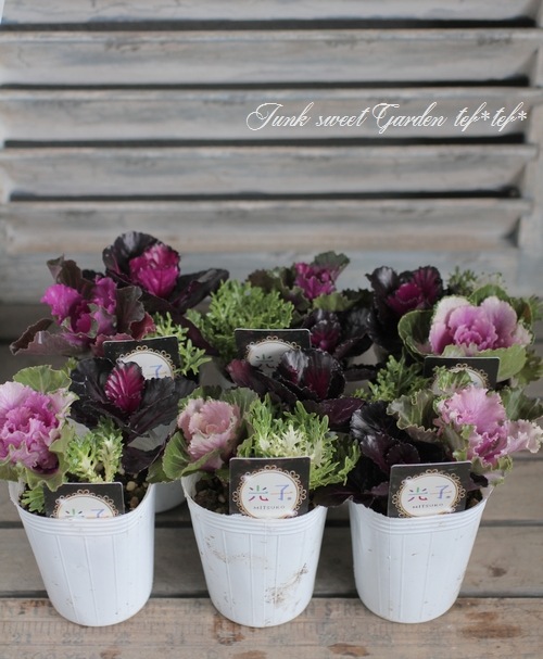 tef*tef*���̥֡�����Ω�ơ����Ȥ��ա����饭���ղ�ð���ظ��ҡ����ꥹ�ޥ�MIX��