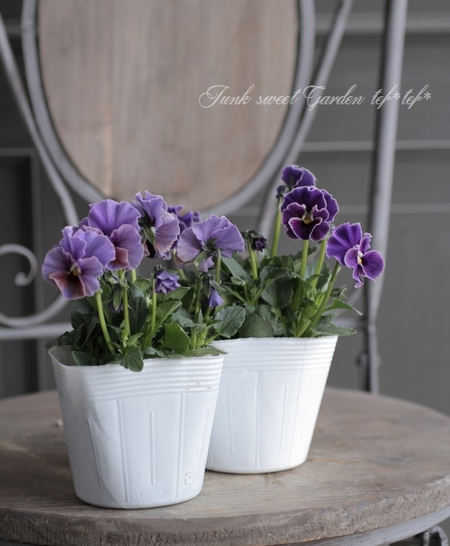 レジンヘアゴム フリルビオラ　パンジー　パープル　ブルー　ビジュー　ひらひら　3 レジンヘアゴム フリルビオラ パンジー パープル ブルー ビジュー