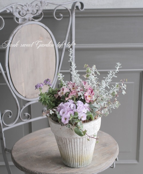 tef*tef*寄せ植え 2017<BR> * no.8 *<BR>シルバー×ピンク | 寄せ植え