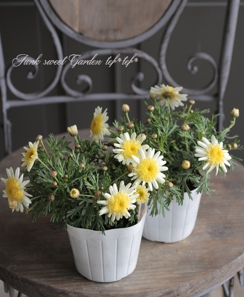 ����ݤݺ餭�ޡ�����åȡ��ؤݤݤ���١���������