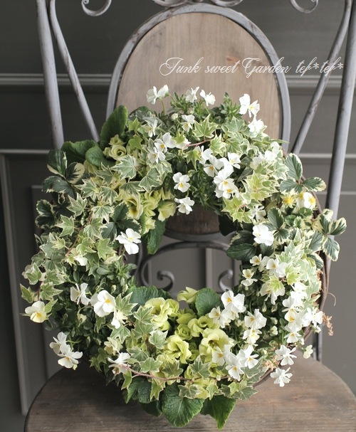 tef*tef*�󤻿��� 2017<BR> * no.16 *<BR>�ۥ磻�ȥ��꡼��Υ꡼��