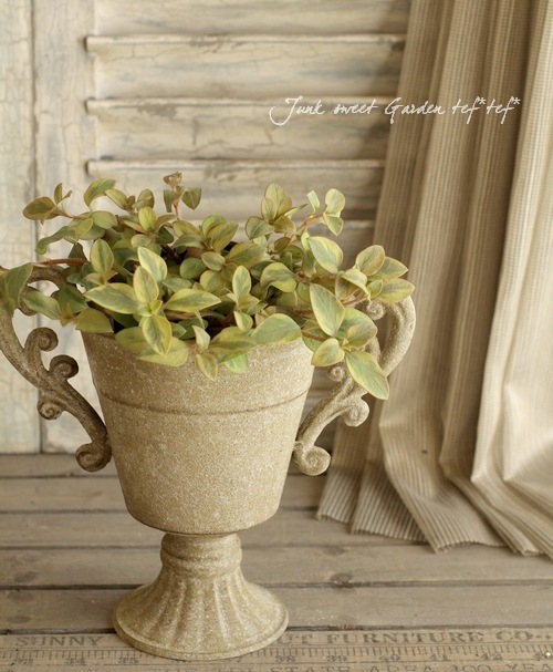 åʥ꡼ꡪꥷޥ إå