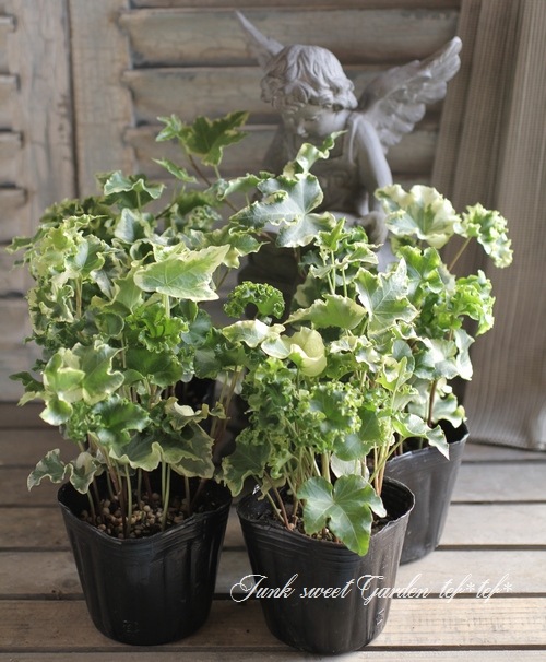 եإǥ顡إꥢ١إ塼꡼å