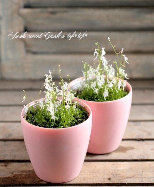 デコパージュ ꔛ‬ꕤ ガーデン雑貨♡スリムほうき♡苺うさぎ♡リメイク♡インテリア デコパージュ ꔛꕤ ガーデン雑貨♡スリムほうき♡苺うさぎ♡リメイク