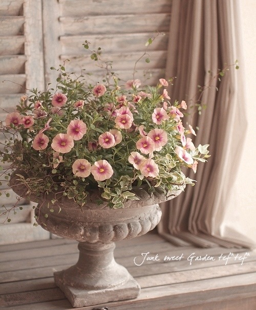 1_011000001471.jpg?1678209903