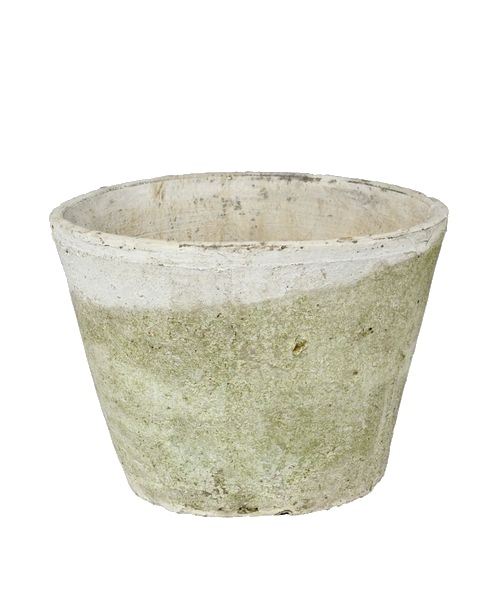 ڻߡۥƥۥ磻ȡݥå 25cm