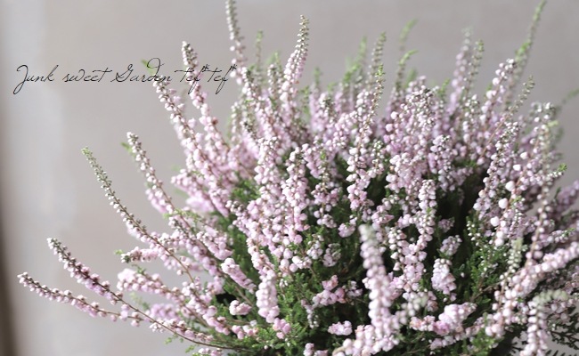 Ȭ�ź餭���롼�ʡ�No.G