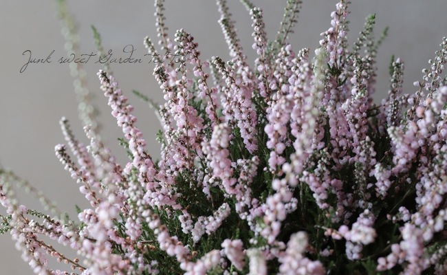 Ȭ�ź餭���롼�ʡ�No.G