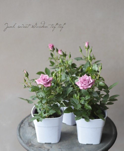 �ߥ˥Х顡�إ�٥����������ʡ�