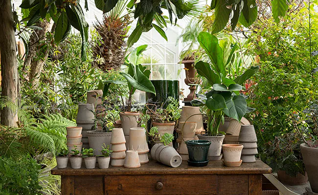 �ڻ��ߡ��̲�Bergs Potter �� Copenhagen���꡼�� �ڥʥ������ ��25cm �������դ���