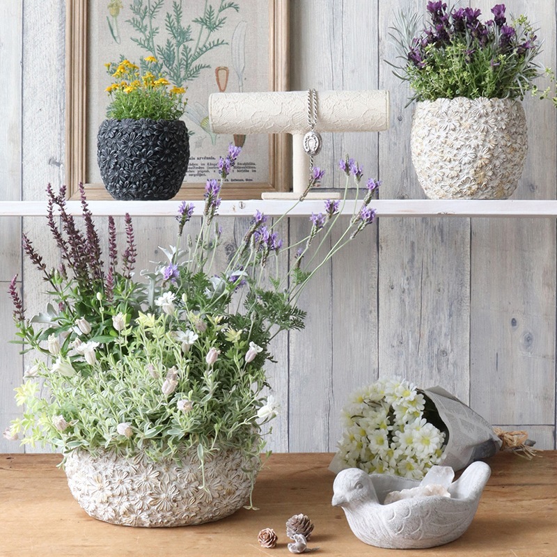 雑貨】デイジーフラワーベーシック XL-BK 【ブラック】 | 鉢