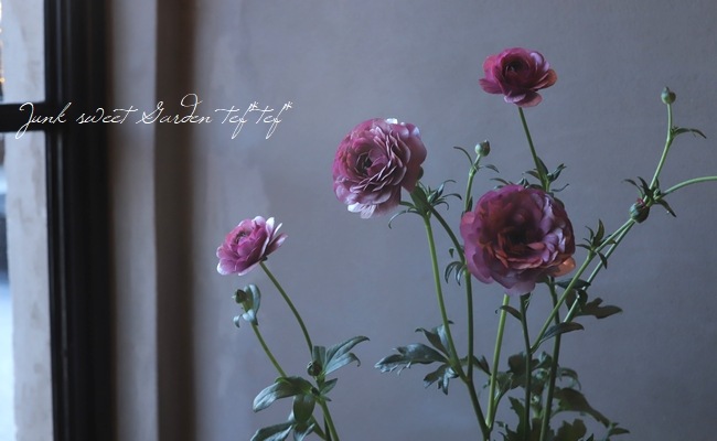 �ڰ���ݤ������ ��ʥ󥭥�饹����å������꡼�����إƥ����С�