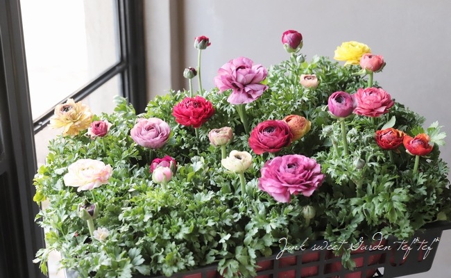 ラナンキュラ様 リクエスト 10点 まとめ商品 様 リクエスト 2点