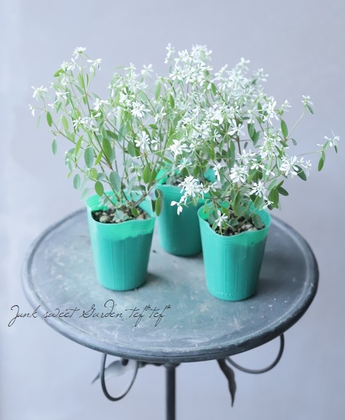 �桼�ե���ӥ����إ�������ɥ��Ρ���