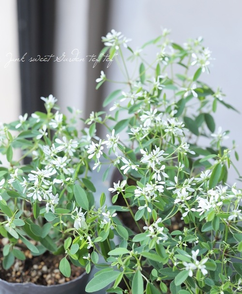 �桼�ե���ӥ����إ�������ɥ��Ρ���