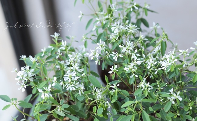 �桼�ե���ӥ����إ�������ɥ��Ρ���