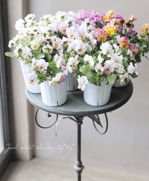 ���ե��餭�ӥ��顡�����ߤ�ӡ� �����¥��ꥸ�ʥ�