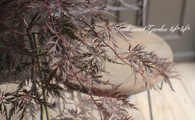 ��ߥ�������-������-���عȻ޿�졡-�٥˥�����-��