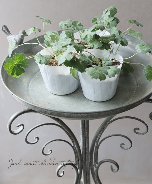 ����˥��� �إ��塼�ƥ��󥰥֥롼��