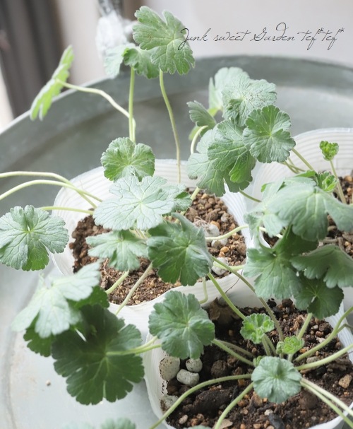 ����˥��� �إ��塼�ƥ��󥰥֥롼��