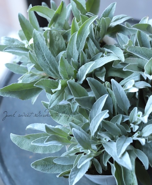 ���ե٥��˥����إ��󥫥ʡ�����С������١�