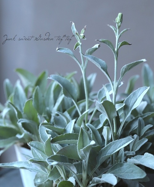 ���ե٥��˥����إ��󥫥ʡ�����С������١�