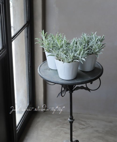 ���ե٥��˥����إ��󥫥ʡ�����С������١�