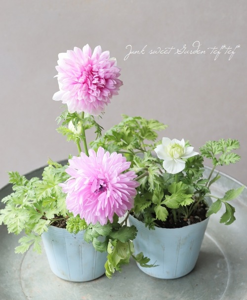 1_000000021722.jpg?1737113806