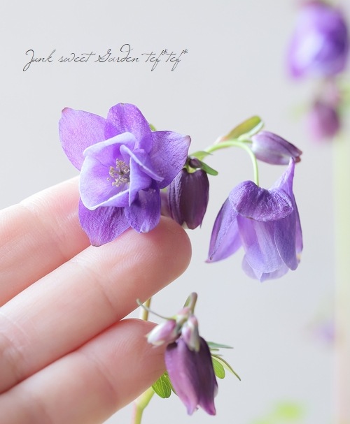 �ھ�����ݥ��ꥸ�ʥ�� ɱ�����ޥ� �إѡ��ץ��