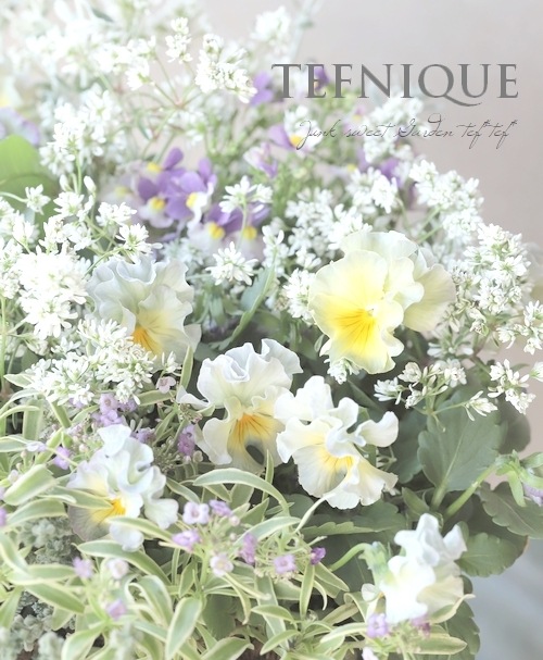 寄せ植え】-TEFNIQUE-寄せ植え 2025 * no.7 * 『大人可愛いお花畑の