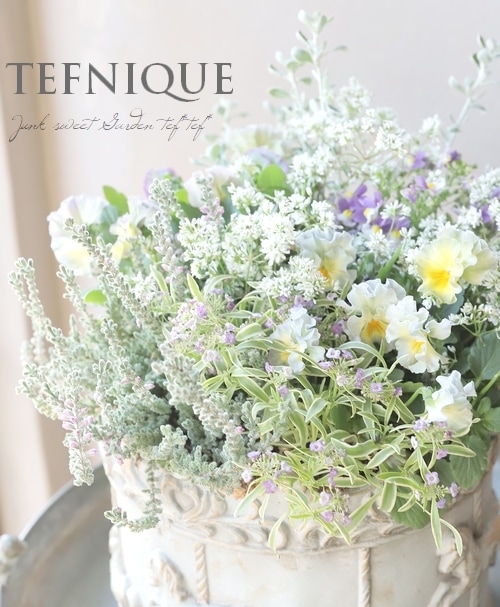 寄せ植え】-TEFNIQUE-寄せ植え 2025 * no.7 * 『大人可愛いお花畑の