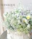 �ڴ󤻿�����-TEFNIQUE-�󤻿��� 2025 * no.7 *������Ͳİ�������Ȫ�Υ�꡼�������ɢ���