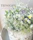 �ڴ󤻿�����-TEFNIQUE-�󤻿��� 2025 * no.7 *������Ͳİ�������Ȫ�Υ�꡼�������ɢ���