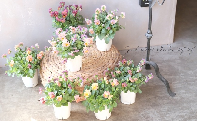 إեӥ顡زڤ ¥ꥸʥ