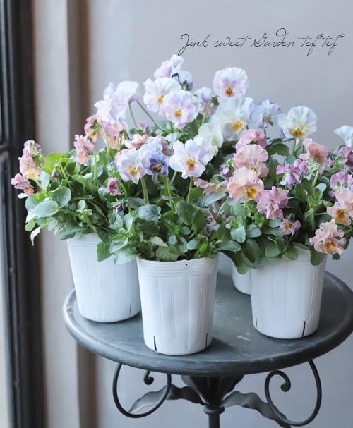 إեӥ顡زڤ ¥ꥸʥ