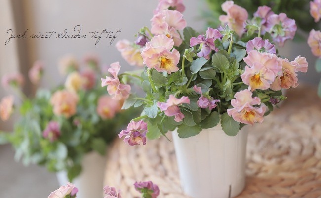 إեӥ顡زڤ ¥ꥸʥ