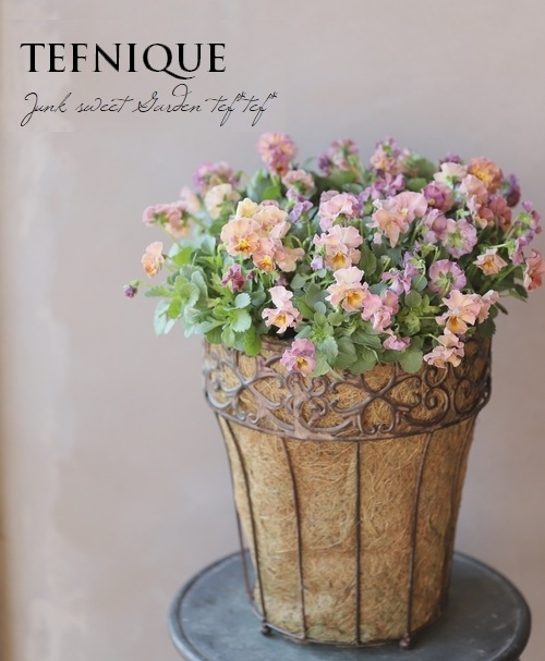 إեӥ顡زڤ ¥ꥸʥ