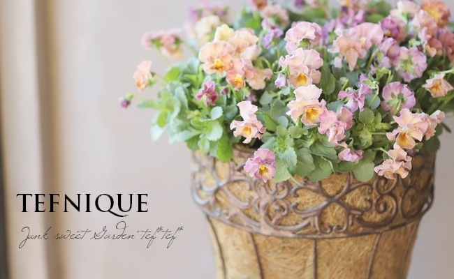 إեӥ顡زڤ ¥ꥸʥ