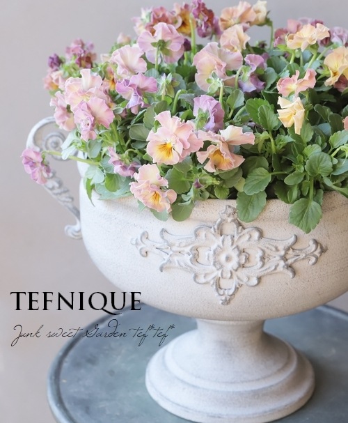 إեӥ顡زڤ ¥ꥸʥ