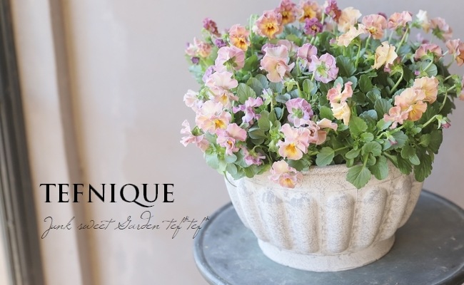 إեӥ顡زڤ ¥ꥸʥ