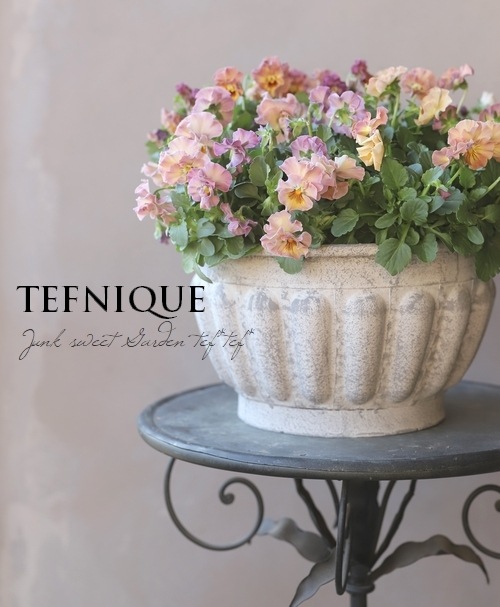 إեӥ顡زڤ ¥ꥸʥ