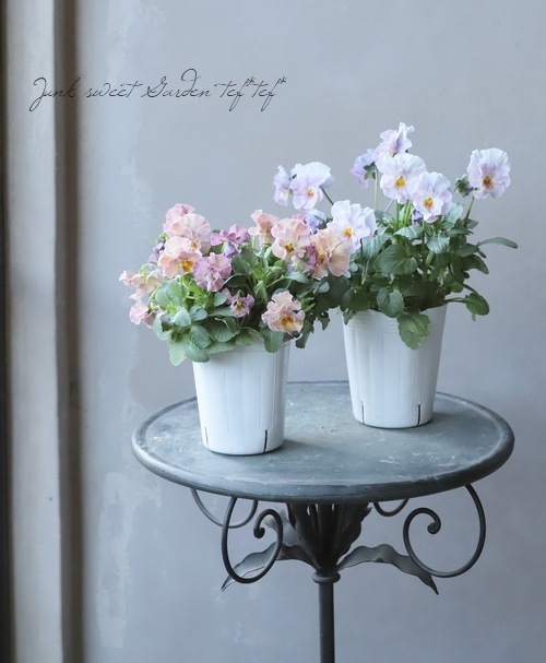 إեӥ顡زڤ ¥ꥸʥ