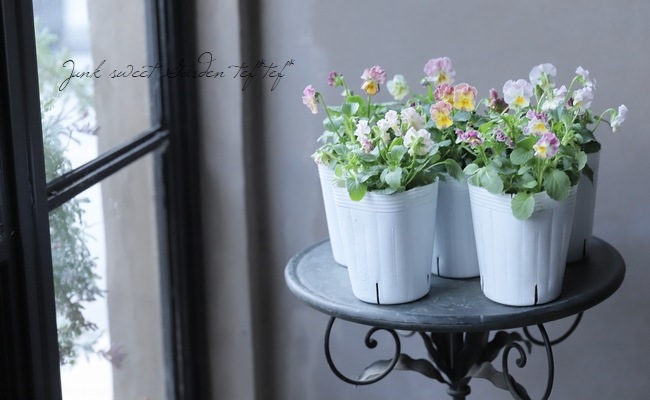 إեӥ顡زڤ ¥ꥸʥ