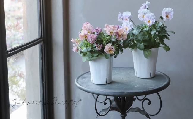 إեӥ顡زڤ ¥ꥸʥ