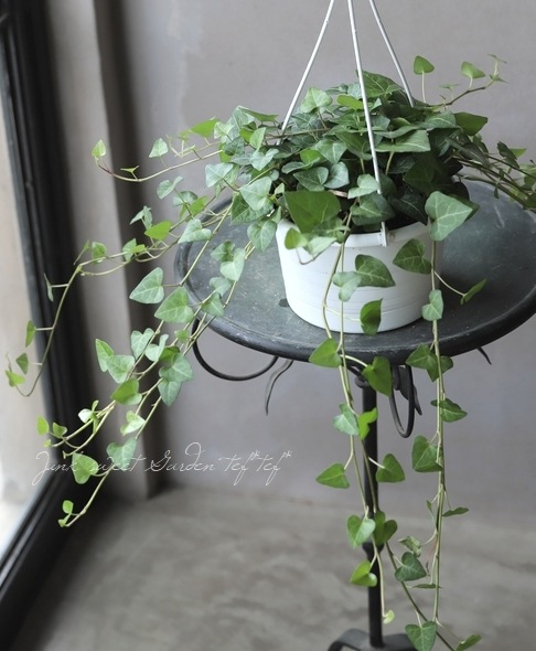 9_000000016222.jpg?1678209903